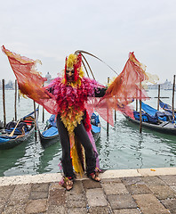 Image showing Colorful Costume