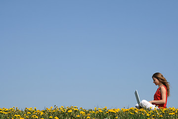 Image showing Girl working with laptop in a flowering field