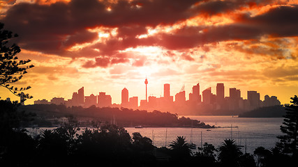 Image showing Sydney Sunset