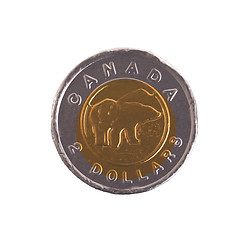 Image showing Canadian dollar, chocolate coins