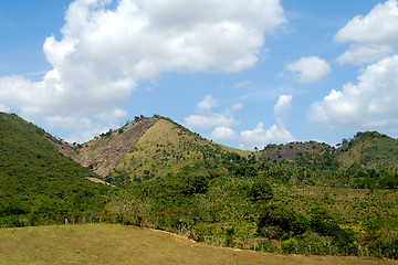 Image showing Green nature