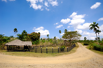 Image showing Farm