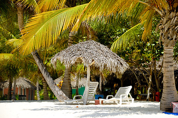 Image showing Paradise beach with palms and sunbeds