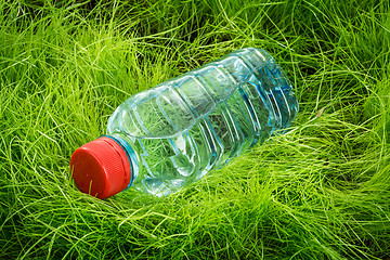 Image showing Water bottle on the grass.