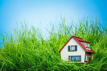 Image showing House on the green grass