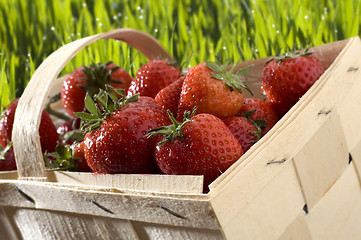 Image showing strawberry