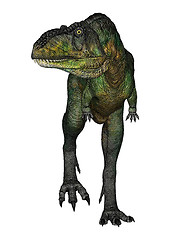 Image showing Dinosaur Aucasaurus