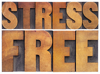 Image showing stress free in wood type