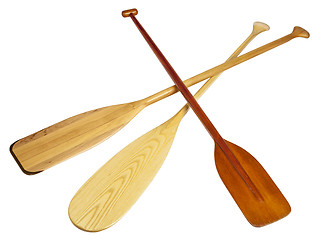 Image showing wooden canoe paddles