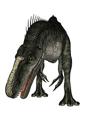 Image showing Dinosaur Monolophosaurus