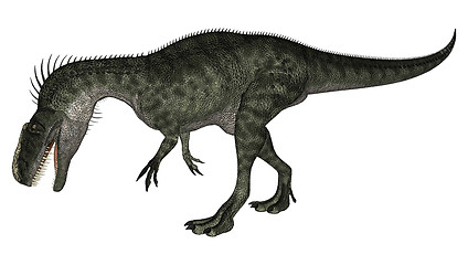 Image showing Dinosaur Monolophosaurus