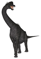 Image showing Dinosaur Brachiosaurus