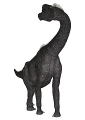 Image showing Dinosaur Brachiosaurus