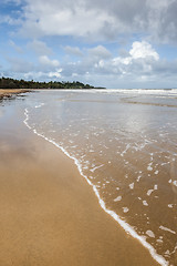 Image showing Mission Beach Australia