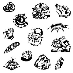 Image showing graphical shells, stones and a fir cone