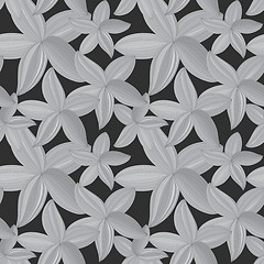 Image showing monochrome abstract background with flower