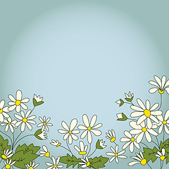 Image showing Card with the image of daisies camomile