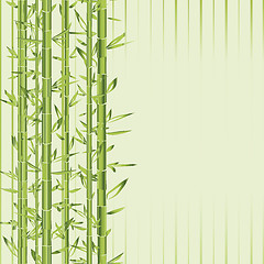 Image showing green bamboo with stripe