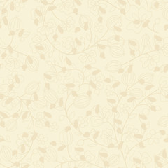 Image showing beige background with silhouette of plant