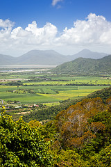 Image showing Meadow Australia