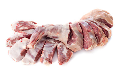 Image showing leg and shoulder of lamb