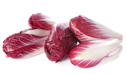 Image showing chicory carmine