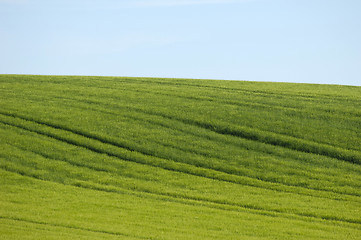 Image showing Tracks on hill