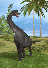 Image showing Dinosaur Brachiosaurus