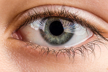 Image showing teenager eye macro