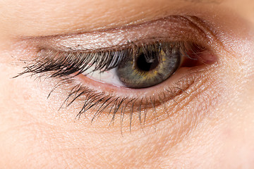 Image showing middle age woman eye macro
