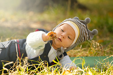 Image showing Baby Outdoors