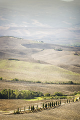 Image showing Landscape Pienza