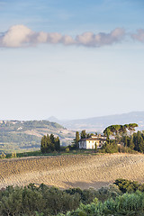 Image showing Tuscany Landscape in the morning