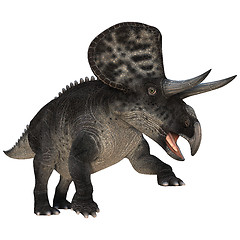 Image showing Dinosaur Zuniceratops