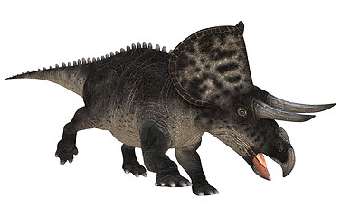 Image showing Dinosaur Zuniceratops