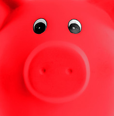 Image showing Unique pink ceramic piggy bank