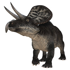 Image showing Dinosaur Zuniceratops