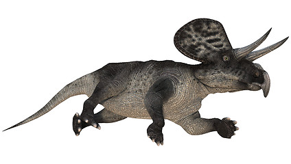 Image showing Dinosaur Zuniceratops