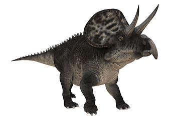 Image showing Dinosaur Zuniceratops