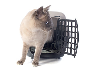 Image showing cat in kennel