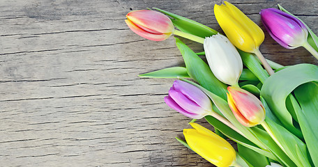 Image showing tulips