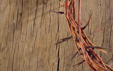 Image showing crown of thorns
