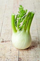 Image showing fresh organic fennel 