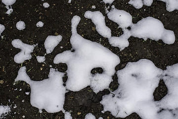 Image showing Melting snow is showing land