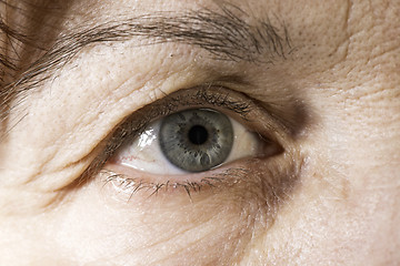 Image showing Close up old women eye