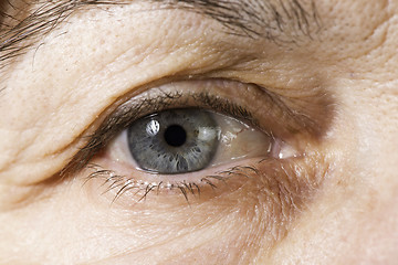 Image showing Close up old women eye