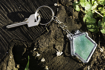 Image showing Keychain in a shape of house