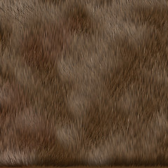 Image showing brown dog fur texture