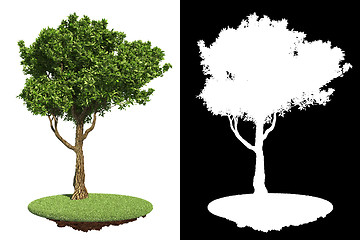 Image showing Green Tree Isolated on White Background.