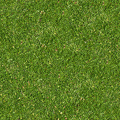 Image showing Green Grass. Seamless Tileable Texture.